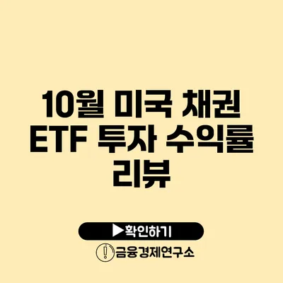 10월 미국 채권 ETF 투자 수익률 리뷰