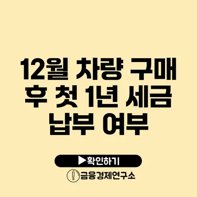 12월 차량 구매 후 첫 1년 세금 납부 여부