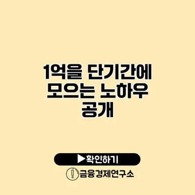 1억을 단기간에 모으는 노하우 공개