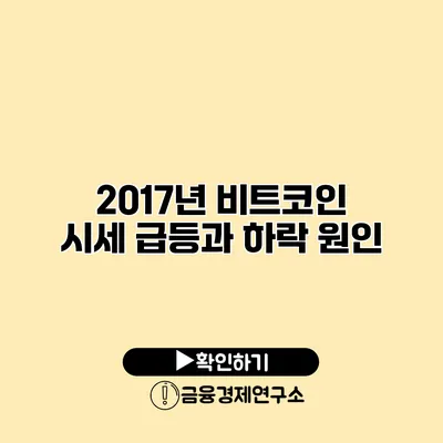 2017년 비트코인 시세 급등과 하락 원인