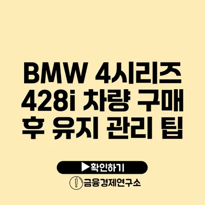 BMW 4시리즈 428i 차량 구매 후 유지 관리 팁