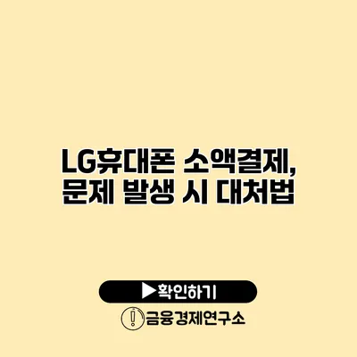 LG휴대폰 소액결제, 문제 발생 시 대처법