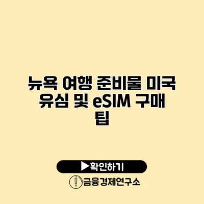 뉴욕 여행 준비물 미국 유심 및 eSIM 구매 팁