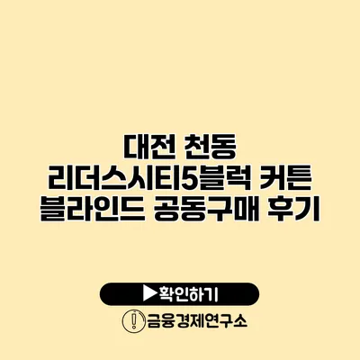 대전 천동 리더스시티5블럭 커튼 블라인드 공동구매 후기