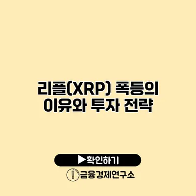 리플(XRP) 폭등의 이유와 투자 전략