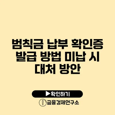 범칙금 납부 확인증 발급 방법 미납 시 대처 방안