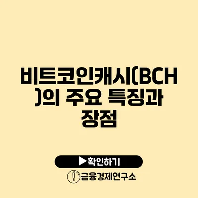 비트코인캐시(BCH)의 주요 특징과 장점