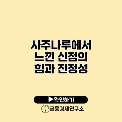 사주나루에서 느낀 신점의 힘과 진정성