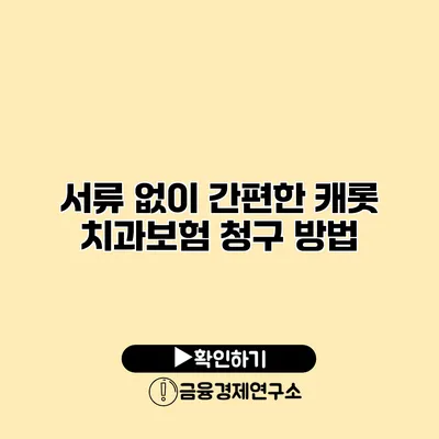 서류 없이 간편한 캐롯 치과보험 청구 방법