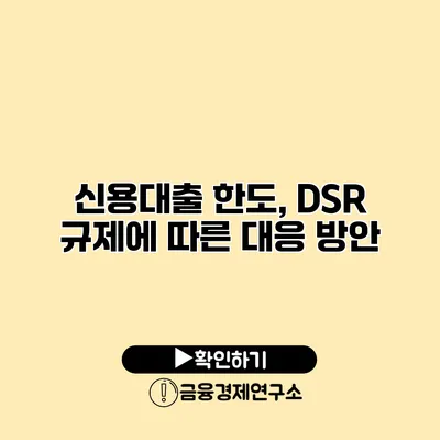 신용대출 한도, DSR 규제에 따른 대응 방안