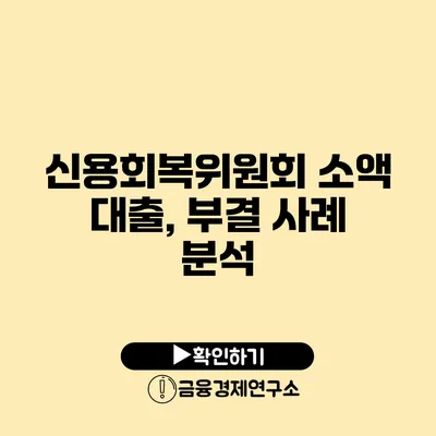 신용회복위원회 소액 대출, 부결 사례 분석