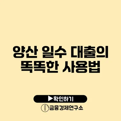 양산 일수 대출의 똑똑한 사용법