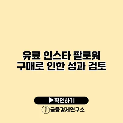 유료 인스타 팔로워 구매로 인한 성과 검토