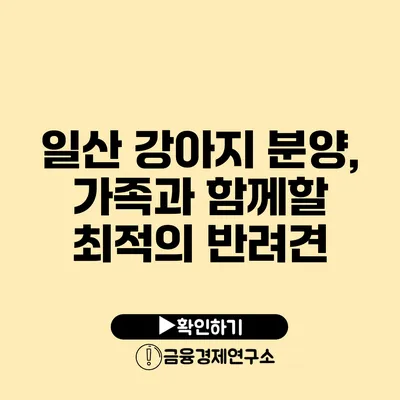 일산 강아지 분양, 가족과 함께할 최적의 반려견