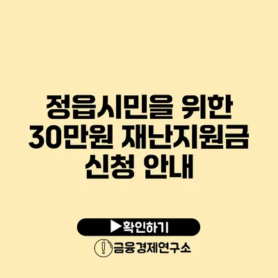 정읍시민을 위한 30만원 재난지원금 신청 안내