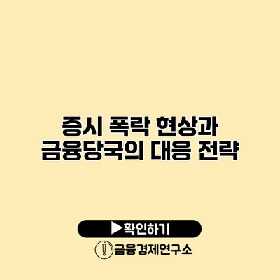 증시 폭락 현상과 금융당국의 대응 전략