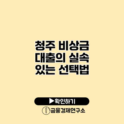 청주 비상금 대출의 실속 있는 선택법