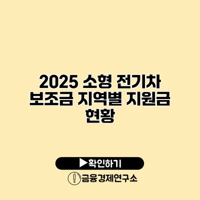 2025 소형 전기차 보조금 지역별 지원금 현황