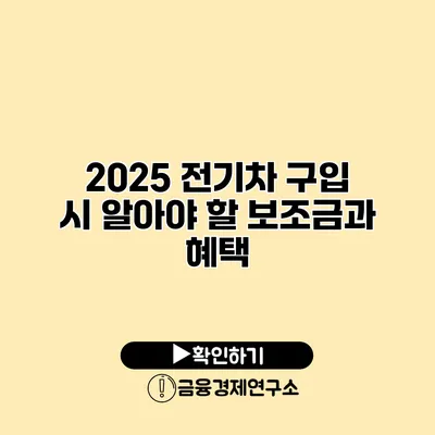 2025 전기차 구입 시 알아야 할 보조금과 혜택