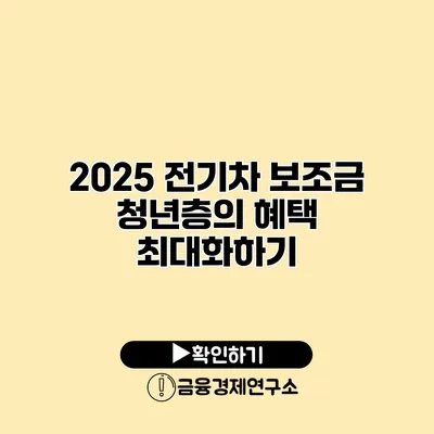2025 전기차 보조금 청년층의 혜택 최대화하기