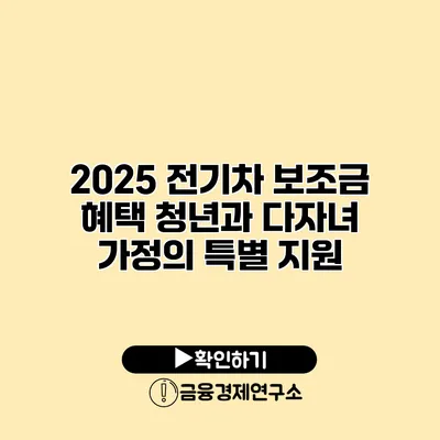 2025 전기차 보조금 혜택 청년과 다자녀 가정의 특별 지원
