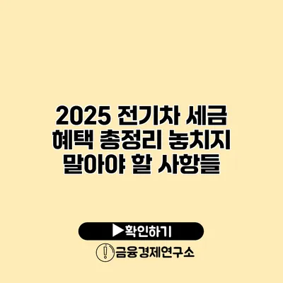2025 전기차 세금 혜택 총정리 놓치지 말아야 할 사항들