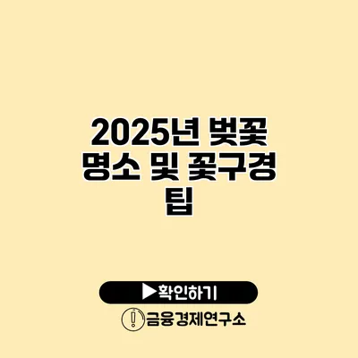 2025년 벚꽃 명소 및 꽃구경 팁