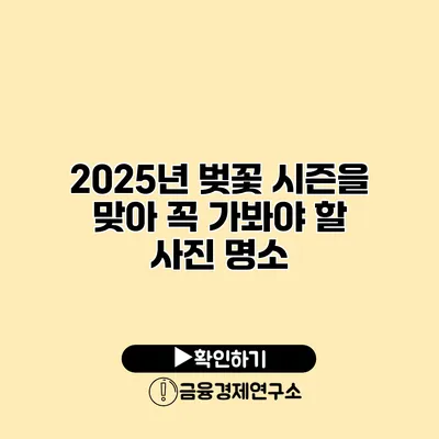 2025년 벚꽃 시즌을 맞아 꼭 가봐야 할 사진 명소