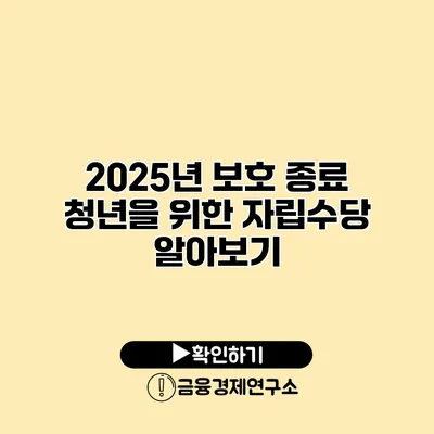 2025년 보호 종료 청년을 위한 자립수당 알아보기