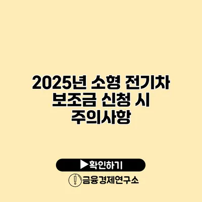 2025년 소형 전기차 보조금 신청 시 주의사항