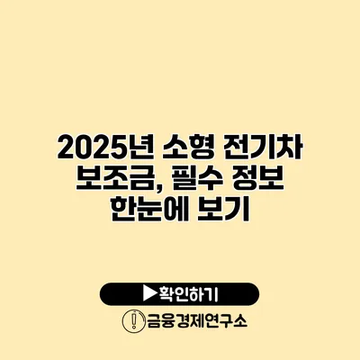 2025년 소형 전기차 보조금, 필수 정보 한눈에 보기