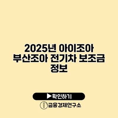 2025년 아이조아 부산조아 전기차 보조금 정보