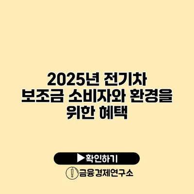 2025년 전기차 보조금 소비자와 환경을 위한 혜택