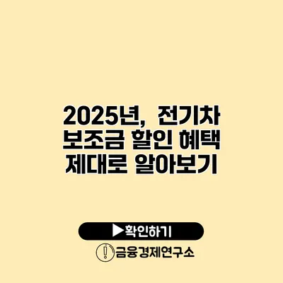 2025년, 전기차 보조금 할인 혜택 제대로 알아보기