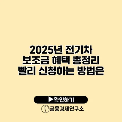 2025년 전기차 보조금 혜택 총정리 빨리 신청하는 방법은?
