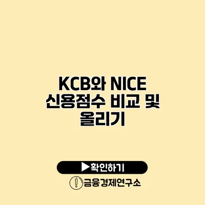 KCB와 NICE 신용점수 비교 및 올리기