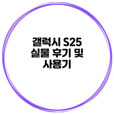 갤럭시 S25 실물 후기 및 사용기