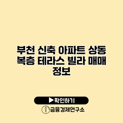 부천 신축 아파트 상동 복층 테라스 빌라 매매 정보