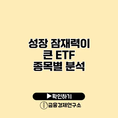 성장 잠재력이 큰 ETF 종목별 분석