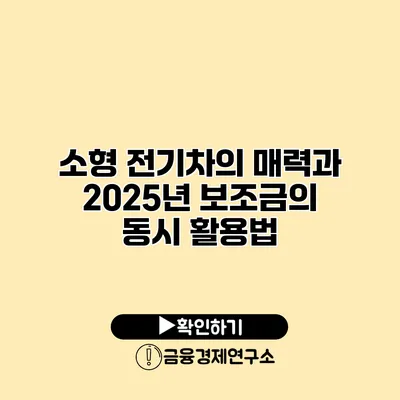 소형 전기차의 매력과 2025년 보조금의 동시 활용법