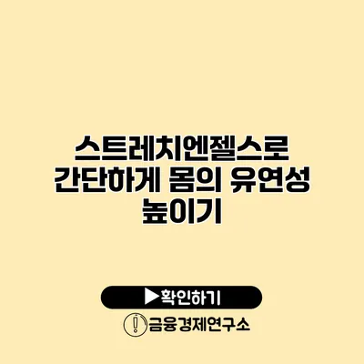 스트레치엔젤스로 간단하게 몸의 유연성 높이기