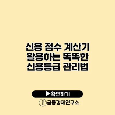 신용 점수 계산기 활용하는 똑똑한 신용등급 관리법