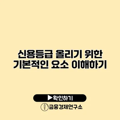 신용등급 올리기 위한 기본적인 요소 이해하기