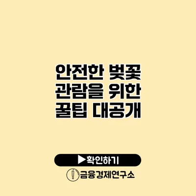 안전한 벚꽃 관람을 위한 꿀팁 대공개