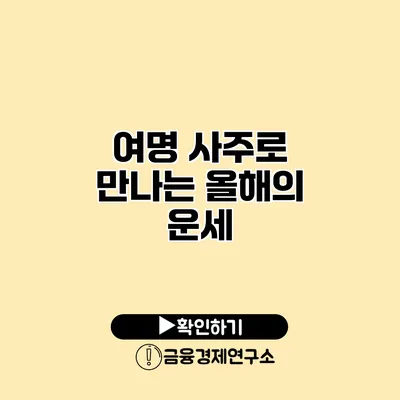 여명 사주로 만나는 올해의 운세