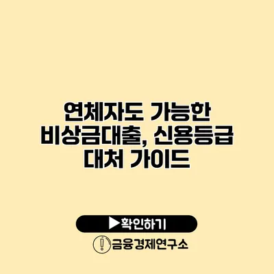 연체자도 가능한 비상금대출, 신용등급 대처 가이드