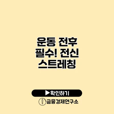 운동 전후 필수! 전신 스트레칭