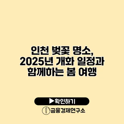 인천 벚꽃 명소, 2025년 개화 일정과 함께하는 봄 여행