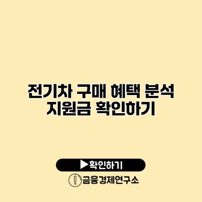 전기차 구매 혜택 분석 지원금 확인하기