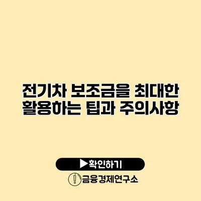 전기차 보조금을 최대한 활용하는 팁과 주의사항
